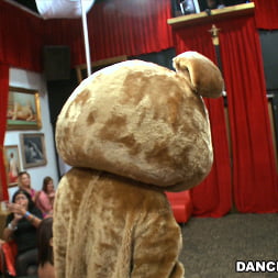 Crashing the club! Dancing Bear Style!