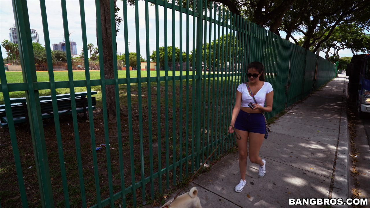 Gran Robo Canino