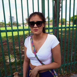 Gran Robo Canino