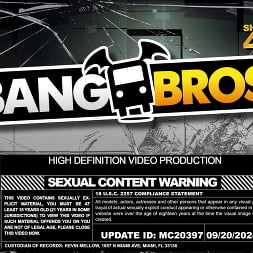 Bang Bros On Speed Dial