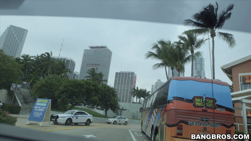 Recorridos por Miami al estilo Bangbus