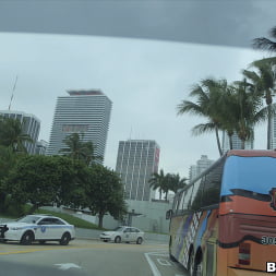 Recorridos por Miami al estilo Bangbus